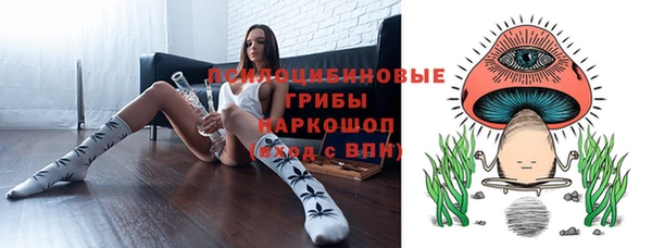 сатива Нея
