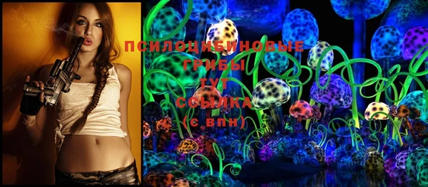 mdma Новодвинск