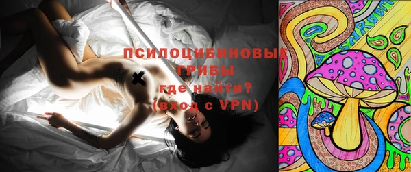 mdma Новодвинск