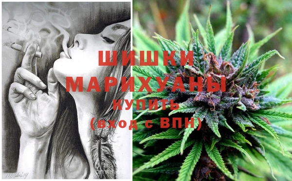 прущая мука Новозыбков