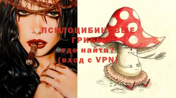 mdma Новодвинск