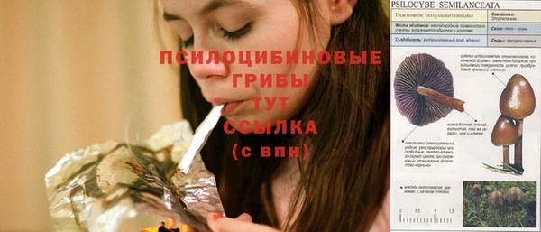 mdma Новодвинск