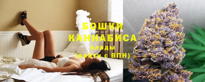 где купить   Порхов  МАРИХУАНА White Widow 