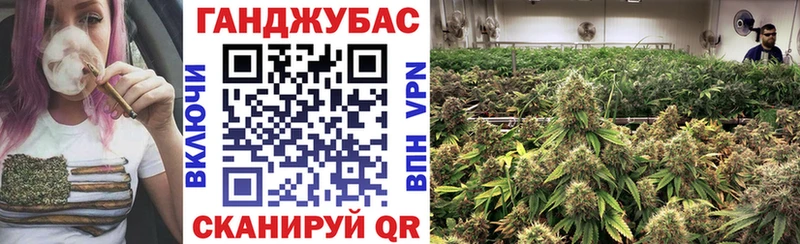 МАРИХУАНА Amnesia  купить наркотик  Порхов 